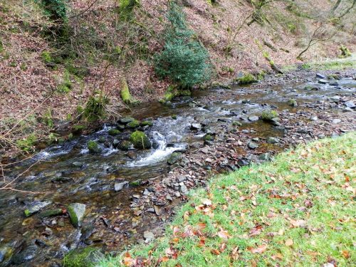 30.-upstream-from-Pool-Bridge-2