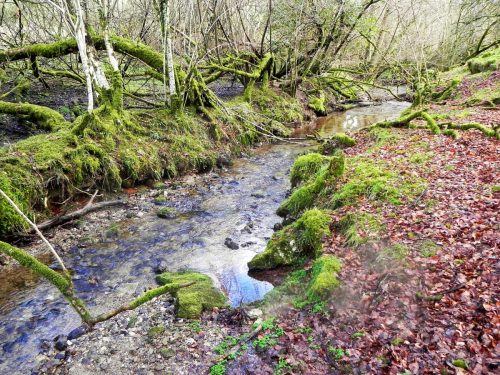 31.-Downstream-from-Ash-Combe-2