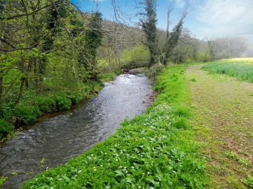 31.-Downstream-from-Frackford-Bridge-2