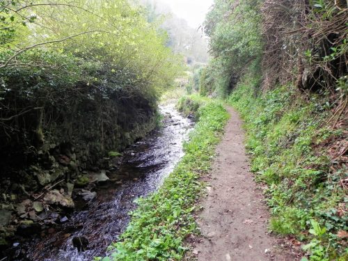 31.-Downstream-from-Hawkcombe-Bridge-2
