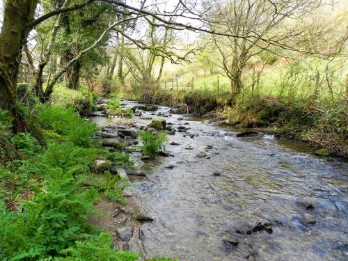 31.-Downstream-from-Heddon-Valley-Mill-2