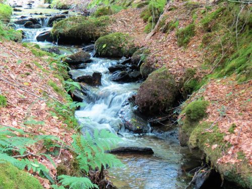 31.-Flowing-below-Beaters-Rocks-2