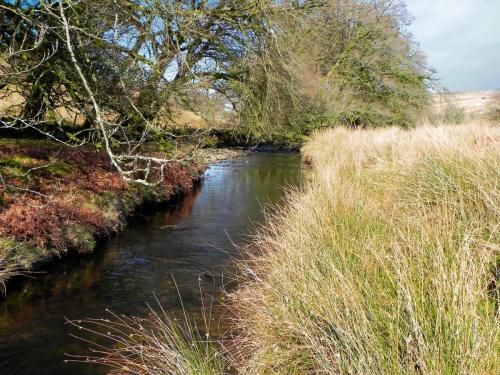 31.-Flowing-below-Furzehill-Common-2