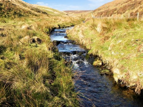31.-Flowing-below-Hoccombe-Hill-2