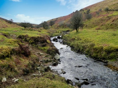 31.-Flowing-below-Pig-Hill-2