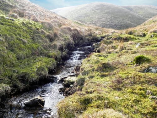 31.-Flowing-between-Hoar-Oak-Hill-and-Exe-Plain-2