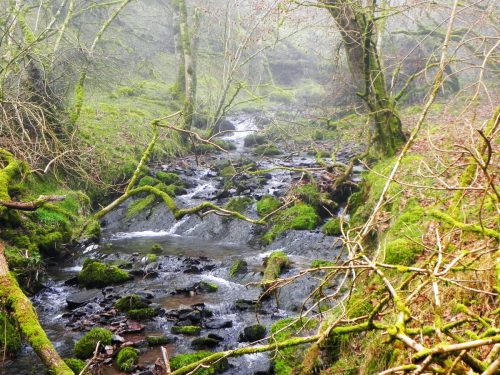 31.-Flowing-past-Sweetworthy-2