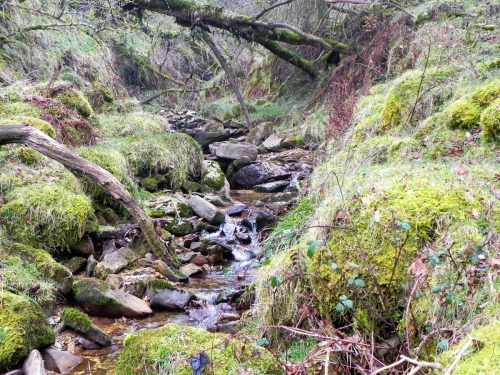 31.-Flowing-through-Mansley-Combe-2