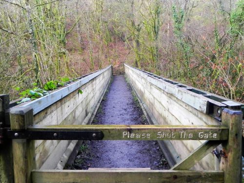 31.-Great-Wood-Footbridge-2