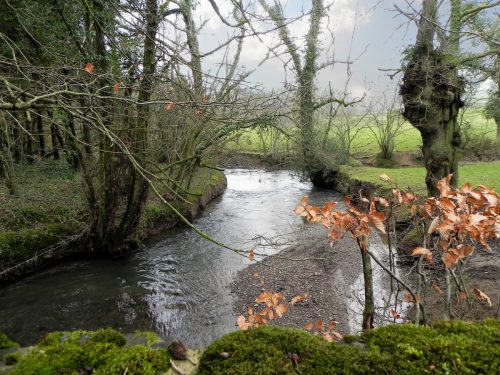 31.-Looking-downstream-from-Haynemoor-Wood-Bridge-2