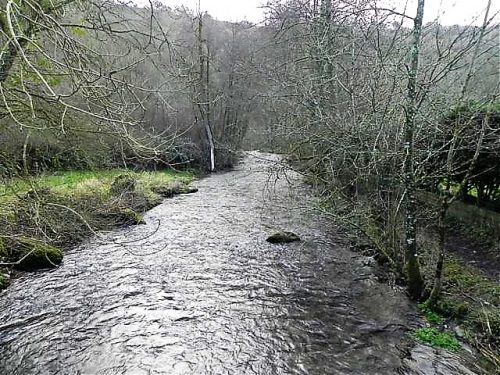 31.-Looking-downstream-from-ROW-bridge-2124-5
