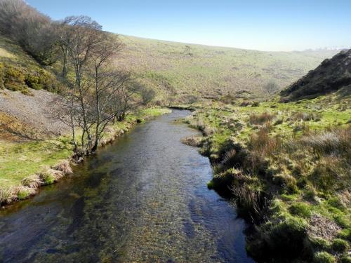 31.-Looking-downstream-from-Wheal-Elisa-Bridge-2