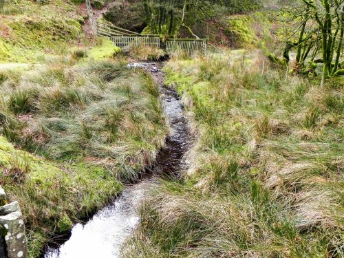 31.-Looking-upstream-from-Chetsford-Bridge-2