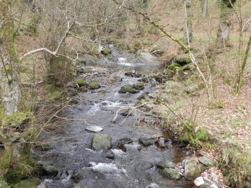 31.-Looking-upstream-from-Stoke-Combe-Footbridge