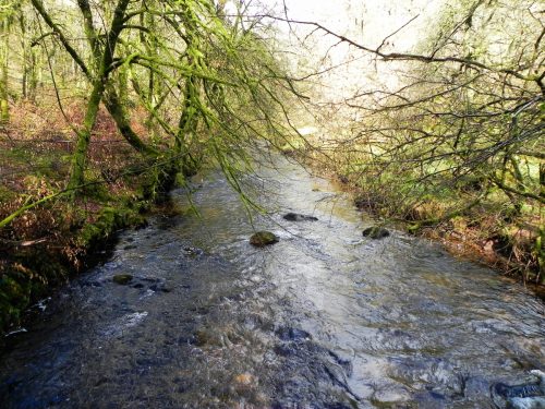 31.-Looking-upstream-from-Venford-Bridge-2