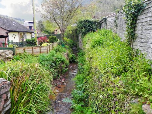31.-Looking-upstream-to-Park-Street-Culvert-outlet-2