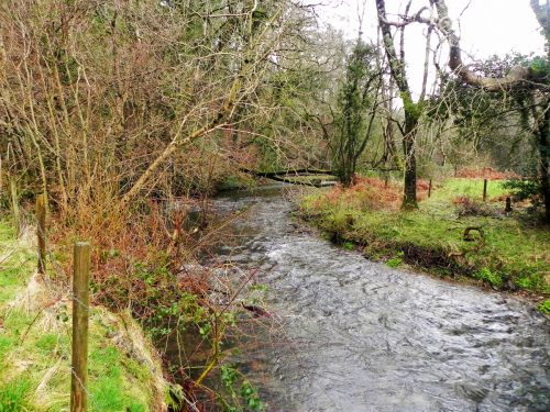 31.-Upstream-from-Dyehouse-Bridge-2
