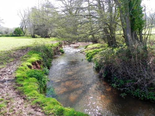 31.-Upstream-from-Holnicote-House-Footbridge-2