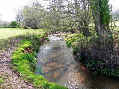 31.-Upstream-from-Holnicote-House-Footbridge-3