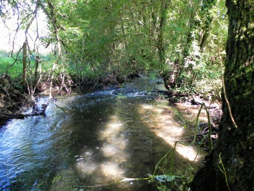 31.-Upstream-from-Huish-Bridge-2