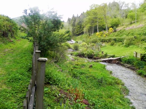 31.-Upstream-from-Pitt-Cottage-2