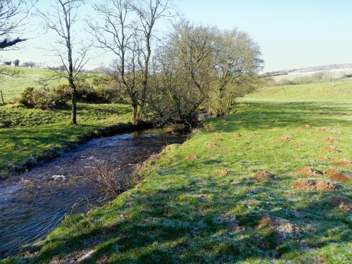 31.-Upstream-from-ROW-BRidge-3217-2