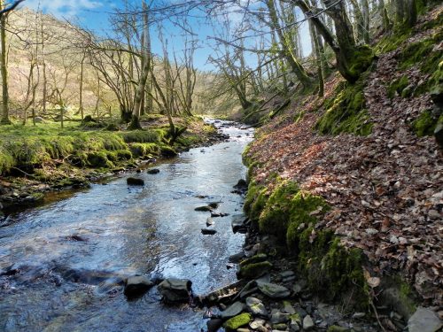 31.-Upstream-from-Smallcombe-Bridge-2
