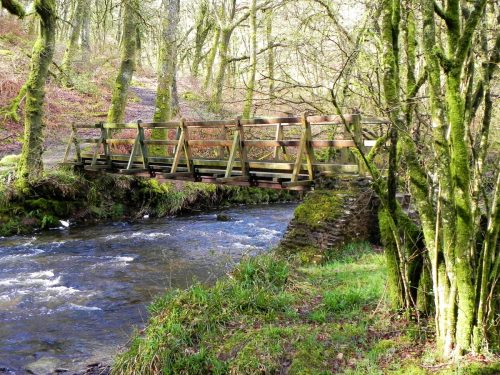 31.-Upstream-from-Venford-Bridge-2