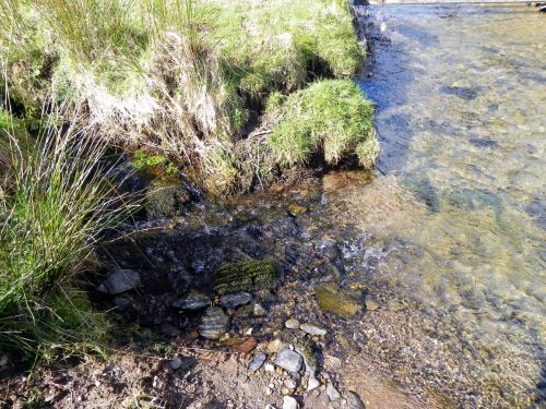 31.-Waters-from-Barkham-join-2