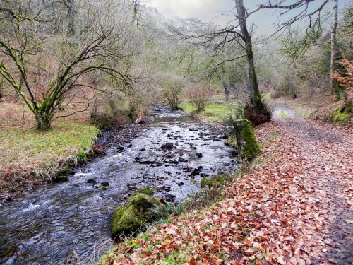 31.-upstream-from-Pool-Bridge-2