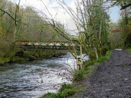 32.-Downstream-Face-Great-Wood-Footbridge-2