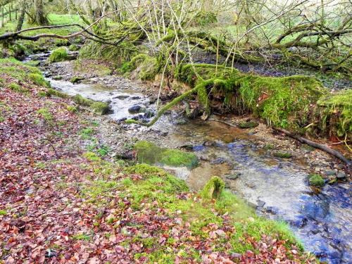 32.-Downstream-from-Ash-Combe-2