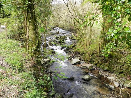 32.-Downstream-from-Heddon-Valley-Mill-2