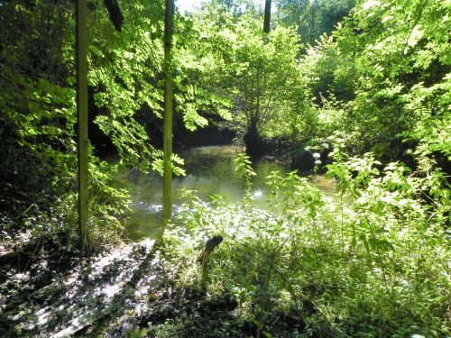 32.-Downstream-from-Tuck-Mill-2