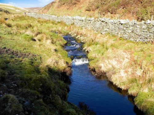 32.-Flowing-below-Hoccombe-Hill-2