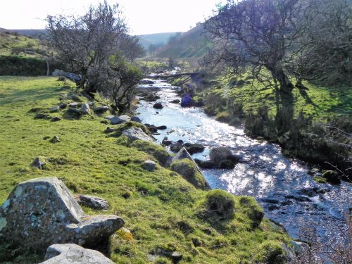 32.-Flowing-below-Stowey-Ridge-2