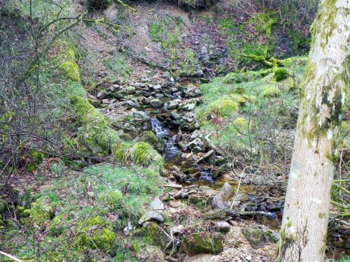 32.-Flowing-through-Mansley-Combe-2