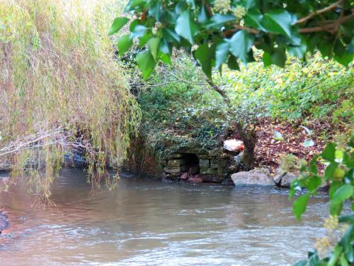 32.-Harpford-bridge-upstream-2