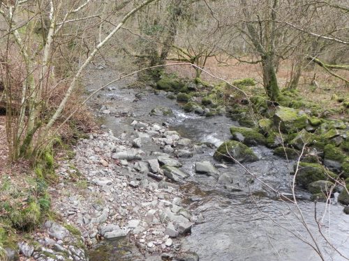 32.-Looking-upstream-from-Stoke-Combe-Footbridge