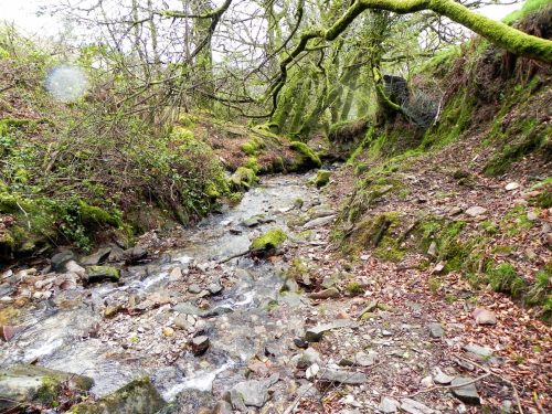 32.-Upstream-from-Higher-Holworthy-2