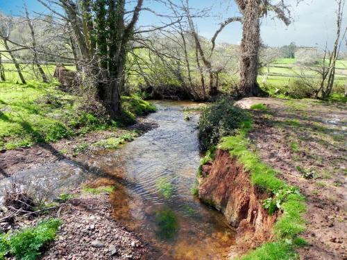 32.-Upstream-from-Holnicote-House-Footbridge-2