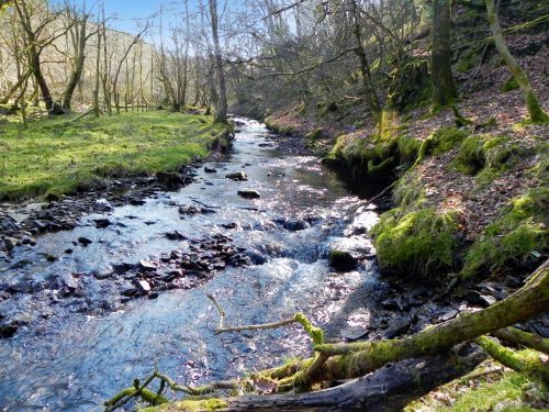 32.-Upstream-from-Smallcombe-Bridge-2