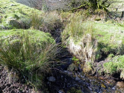 32.-Waters-from-Barkham-join-3