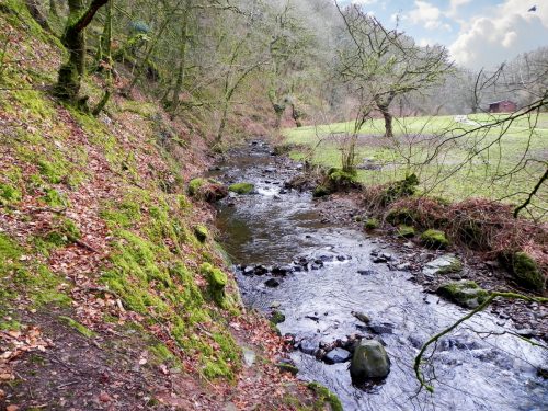 32.-upstream-from-Pool-Bridge-2