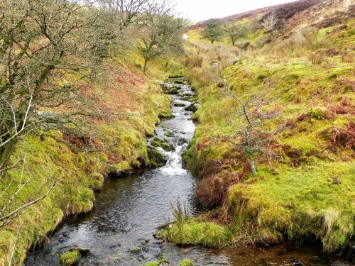 33.-Colley-Water-joins-2