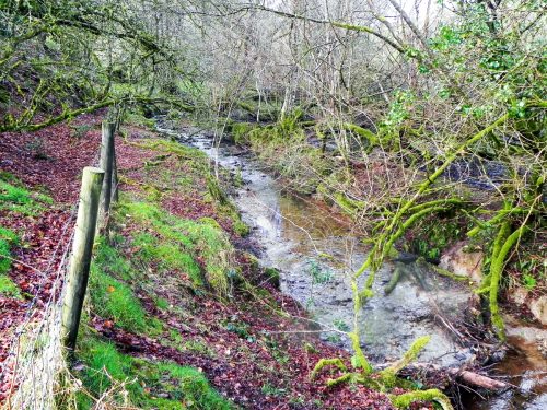 33.-Downstream-from-Ash-Combe-2