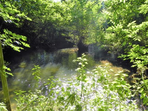 33.-Downstream-from-Tuck-Mill-2