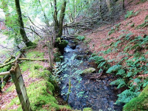 33.-Flowing-below-Beaters-Rocks-2