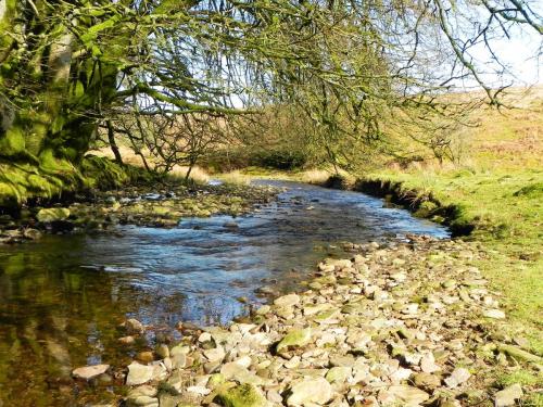 33.-Flowing-below-Furzehill-Common-2