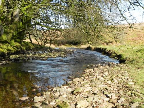 33.-Flowing-below-Furzehill-Common